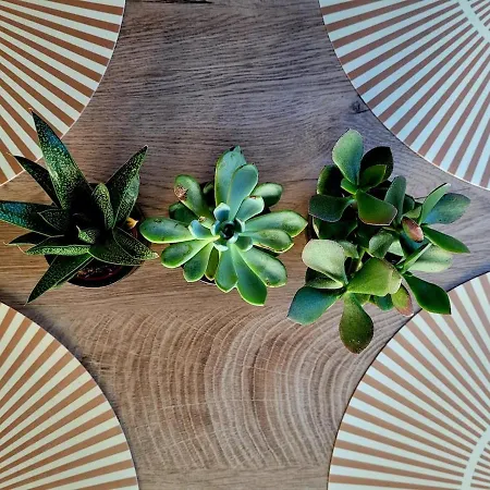 Lejlighed Pura Vida Garden & Lakeview