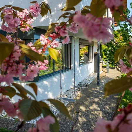 Pura Vida Garden & Lakeview Apartment Faulensee